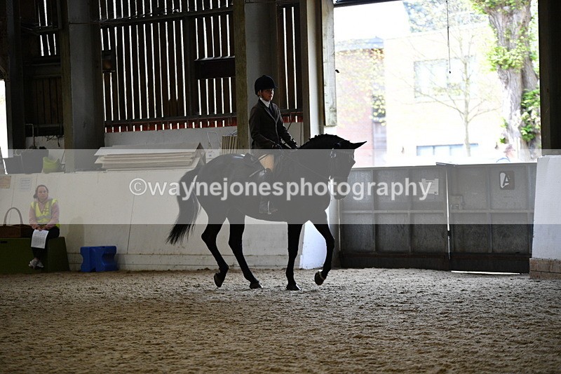 WJ5_6199 - Class 9 Ridden Veteran