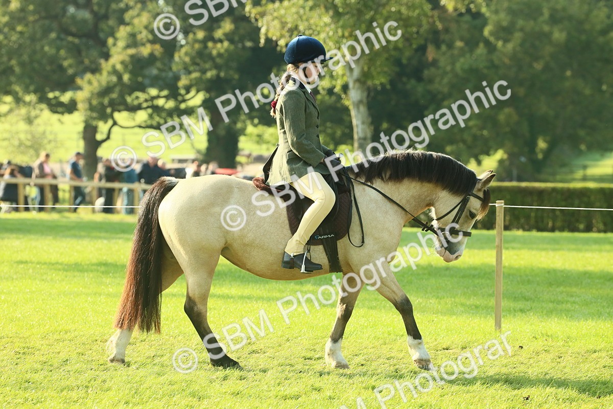 SBM_59128 - S38 - Starters Ridden Showing