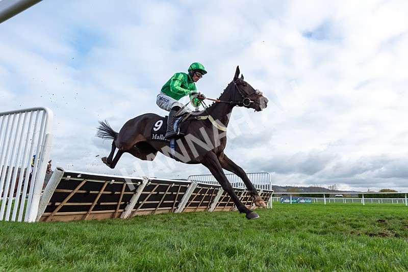 161125-Race 1-Khafre-2932 - Race 1