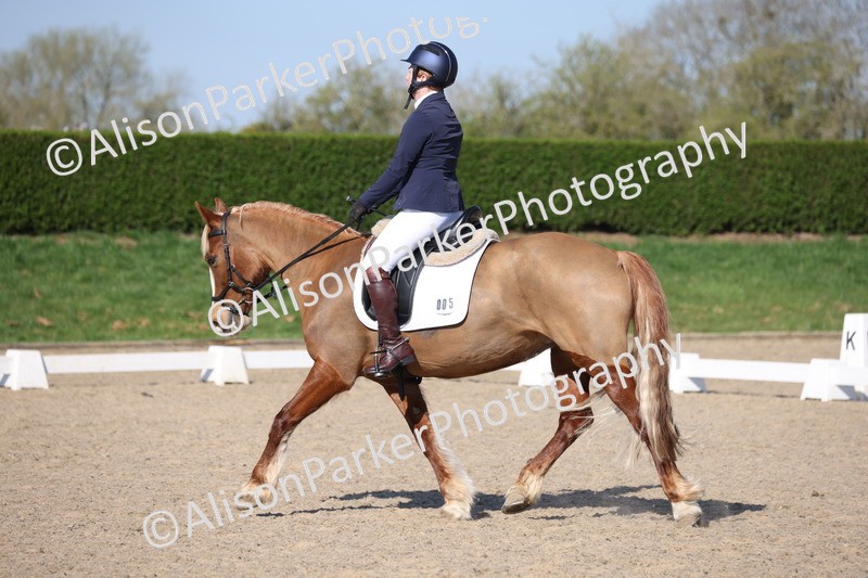 20250405-0258 - Class 11 - My Quest Novice 3