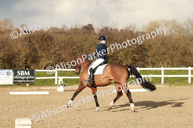 20260314-6295 - CT7 - Elementary 2