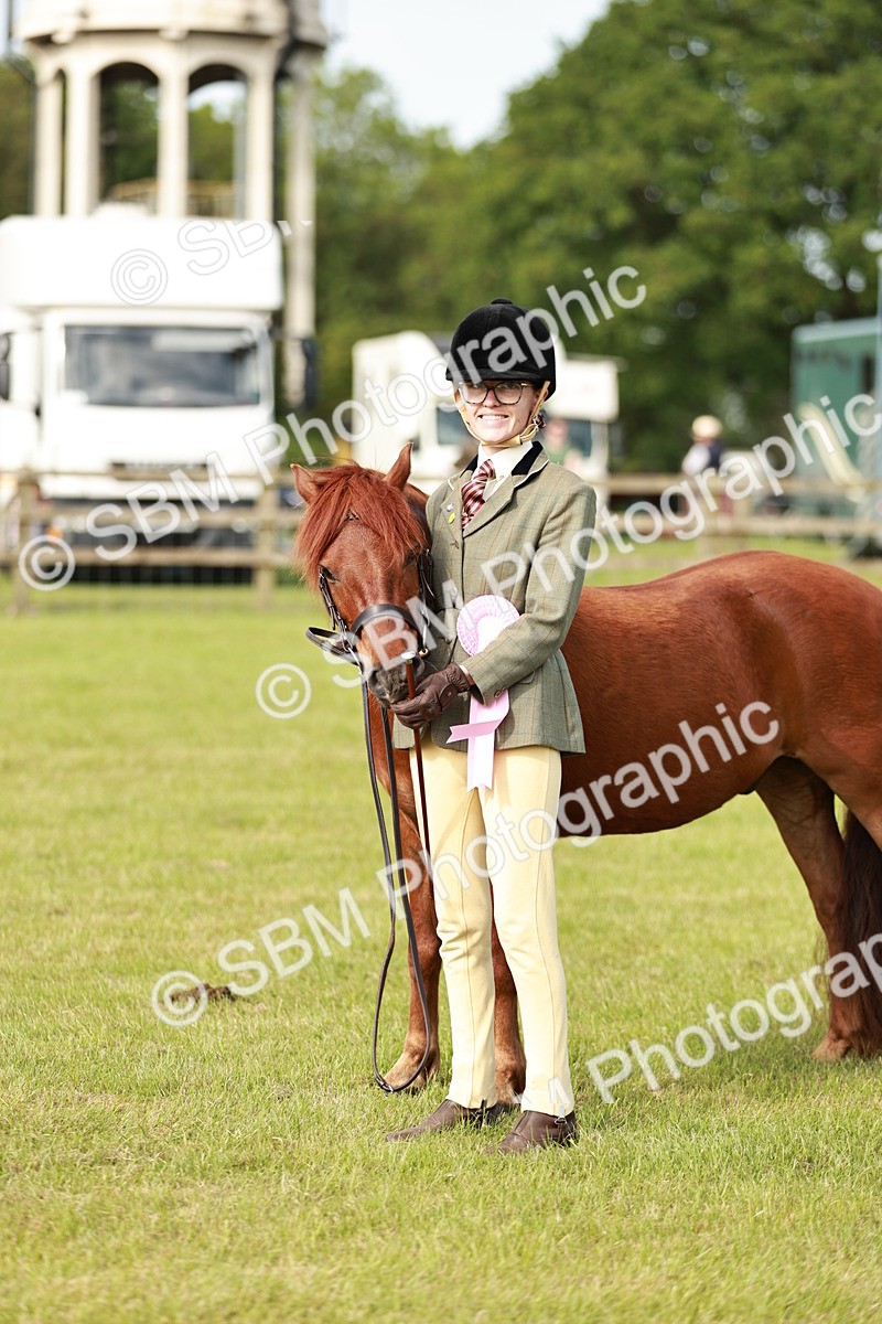 SBM_00565 - Class 14-23 - Mountain & Moorland In Hand Non Welsh
