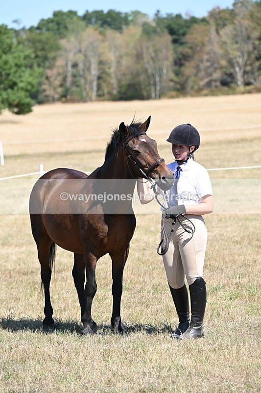WJ6_8668 - Class 37b Best Loan Pony In-hand