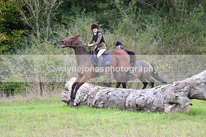 WJ7_3977 - Camera 1 Line 1