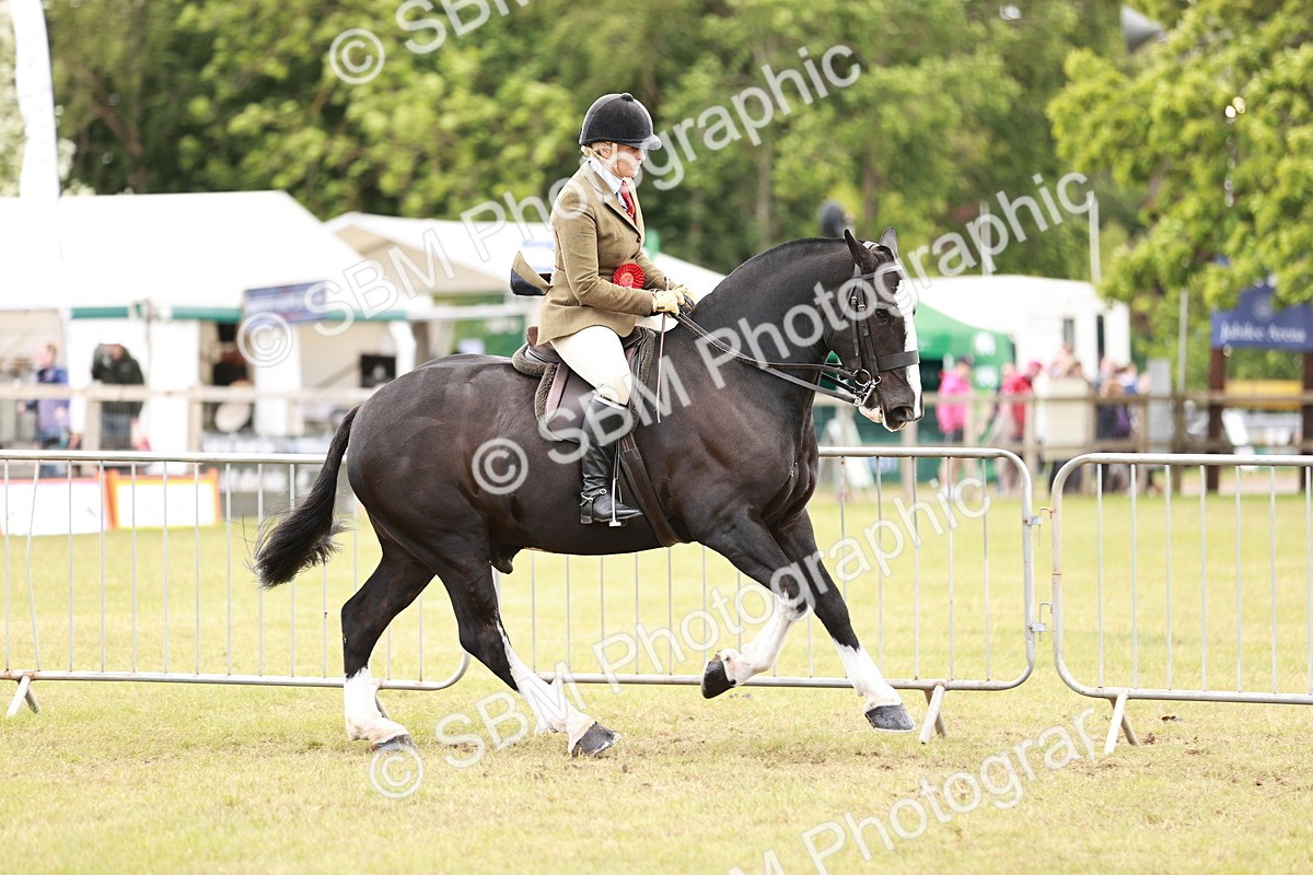 SBM_14094 - Class 85-87 - RIHS Cobs