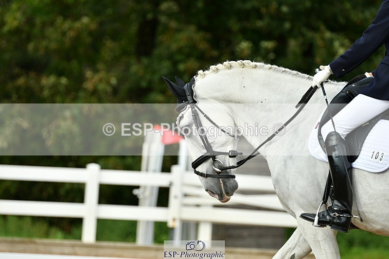 230912A-163917-01827 - Cls 18 FEI PSG