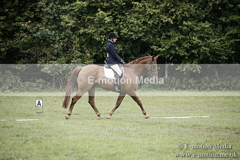 BVR090918 299 - BVRC Dressage and Show Jumping 09/09/18