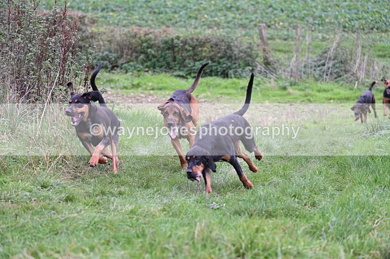 WJ7_8907 - Camera 1 only on this line