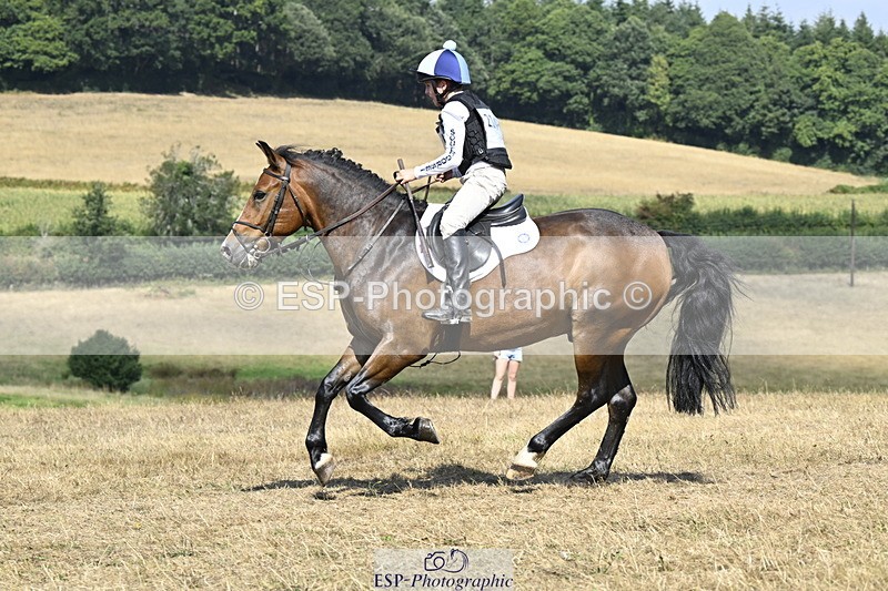 250824A-145232-38852 - 2147-George.Walford-meadow.sweet.conker