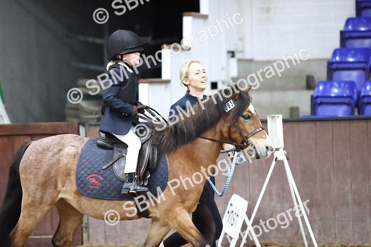 SBM_000041 - Class 1 - Fox Farriers 30cm