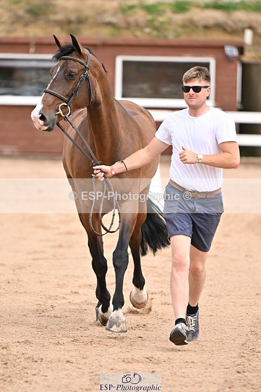 250716-150708-01639 - Trot Up 2.30 to 3.30