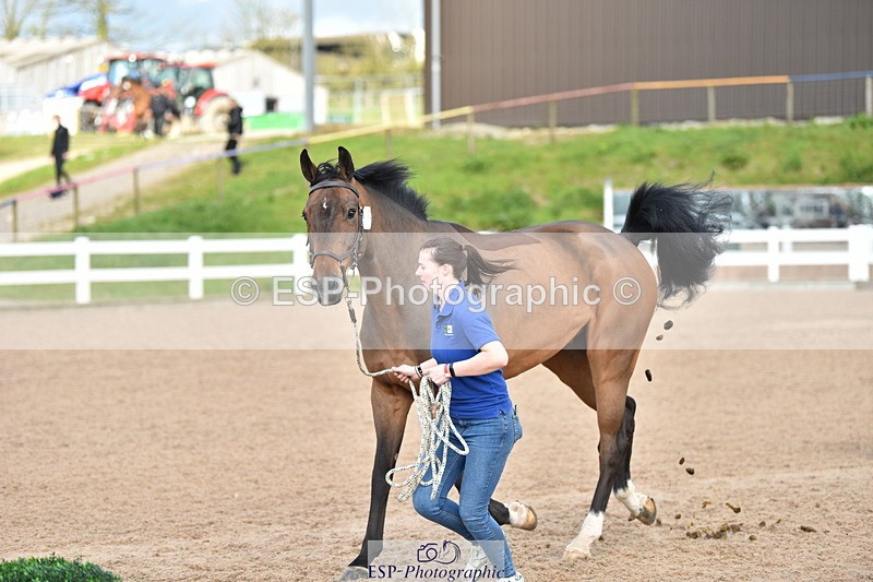 240417A-154954-01007 - 3pm to 4pm