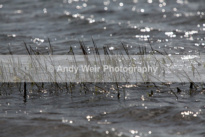 20141001-3K8A6268 - Plants & Flowers