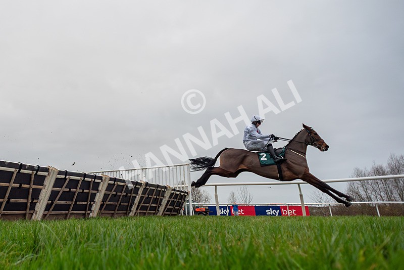 281225-Race 2-Kakas Cousin-7920 - Race 2