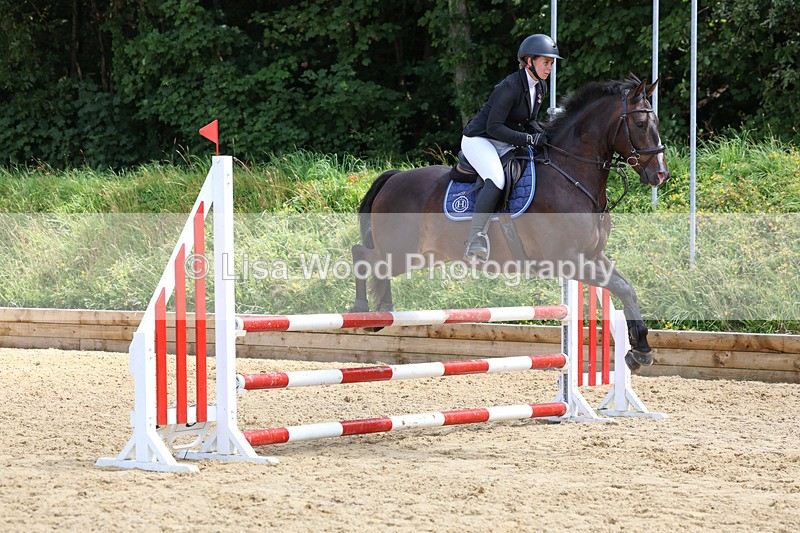3E7A0241 - Class 9: Senior British Novice/90cm open