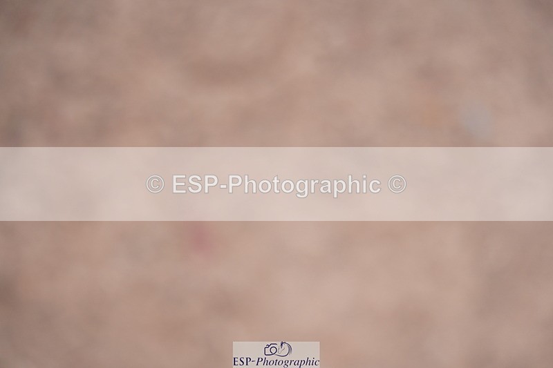 240802A-125632-04500 - Cls 17 Grade C Champs