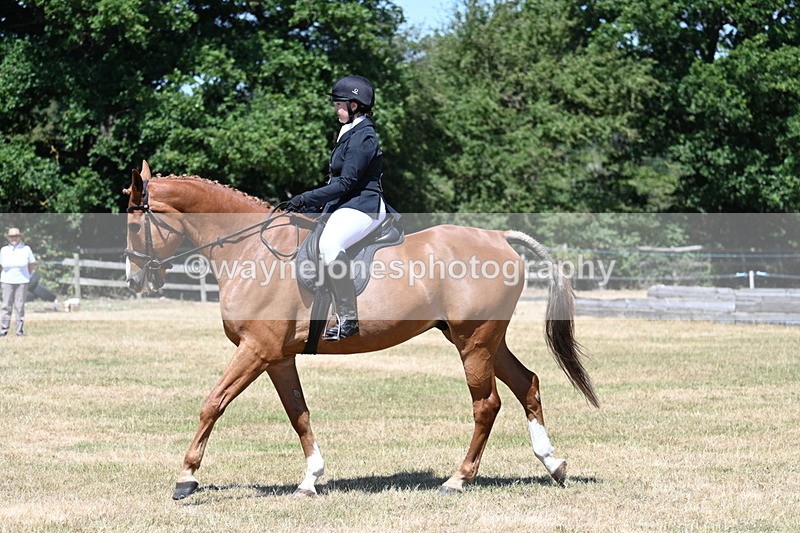 WJ7_2894 - Class 7 Riding Club Show Horse