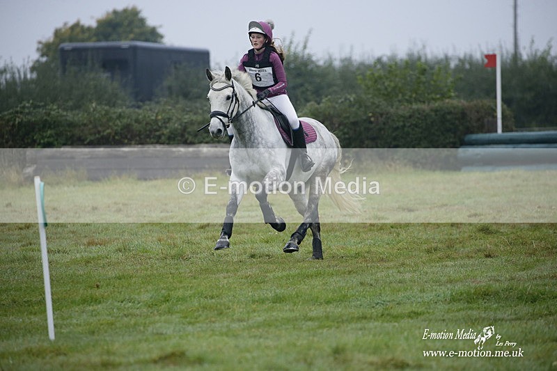 WWHT 171021 0041 - Novice Restricted (0.80m)  17/10/21