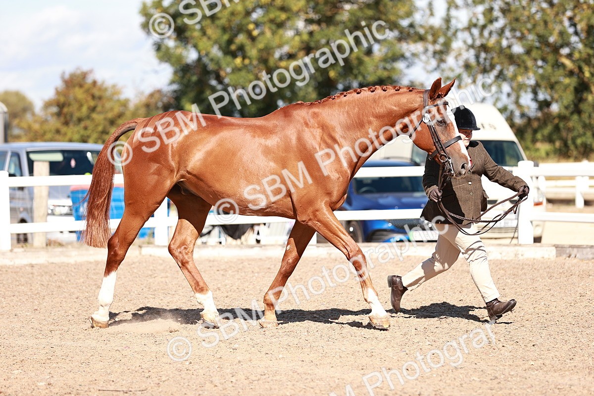 SBM_13329 - class 406 - IH Hunter