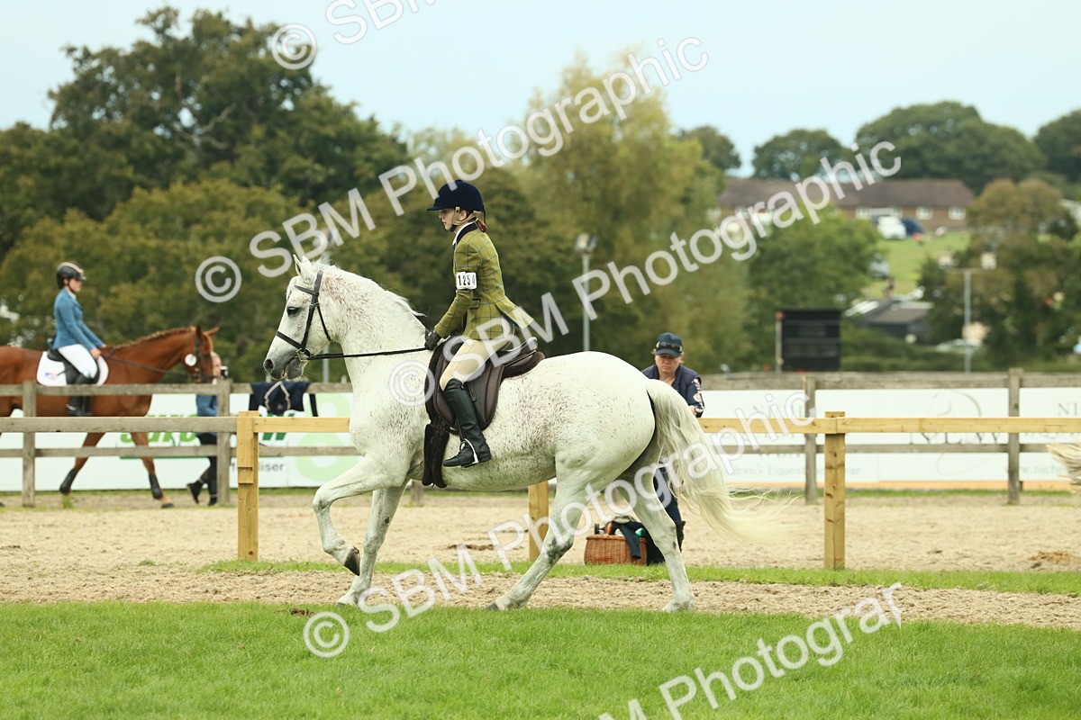 SBM_72053 - S60 - Mountain & Moorland Ridden Large Breeds