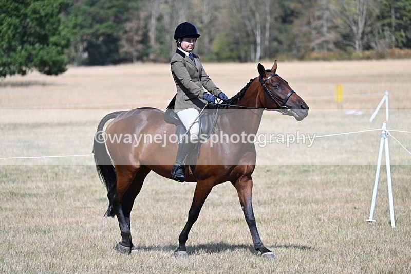 WJ7_1168 - Class 41 Prettiest Mare