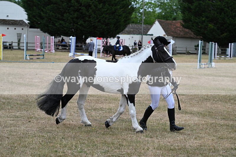 WJ7_8369 - Class 4 Prettiest Mare up to 14.2hh