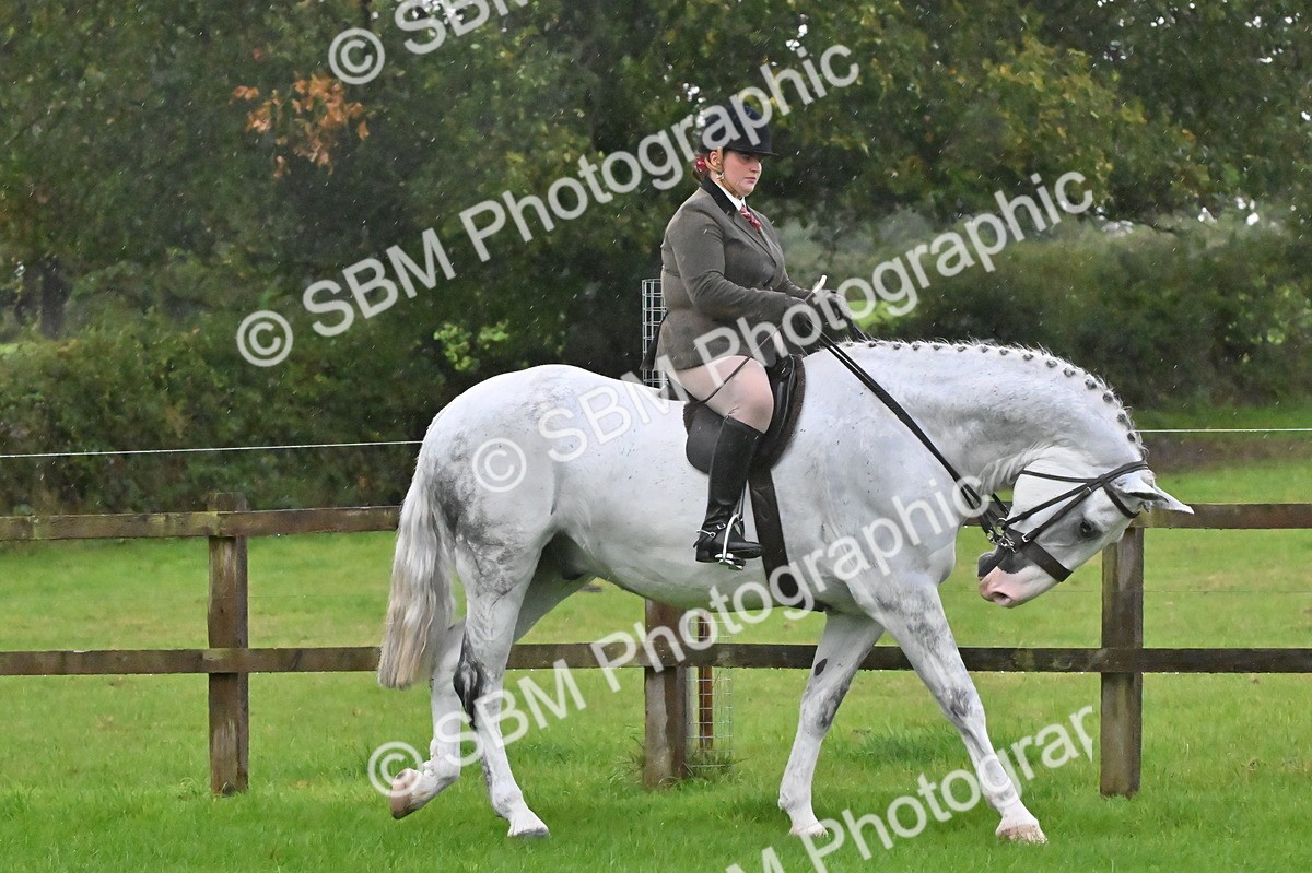 SBM_35638 - S16 - Top Turnout - Ridden