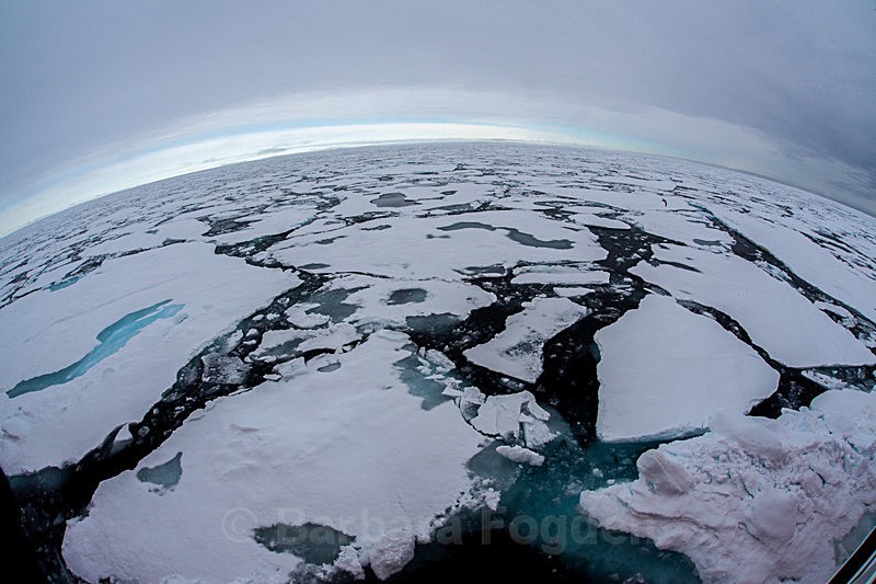 Packice  6893 - Trip with MS Expedition August 2016