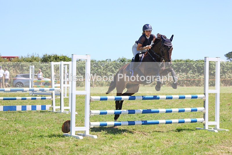 3E7A5680 - Class 9: Senior British Novice/90cm open