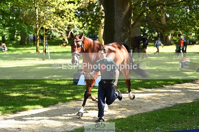 230524-151802-00190 - 318-JUST_HAVE_FAITH_TN-Alfie_Marshall-WEDTrotUp+DR