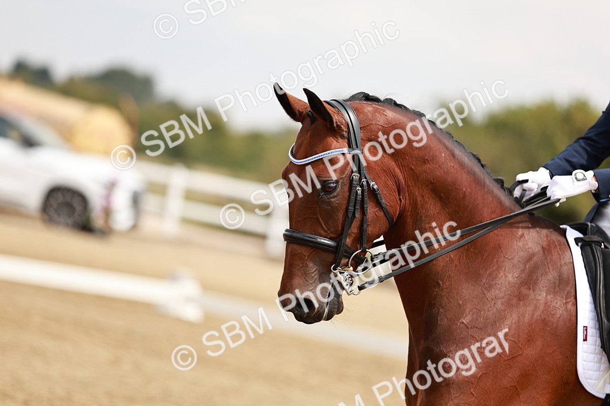 SBM_003545 - Class 7 - Advanced Medium 6 Gold - 13.16-14.36