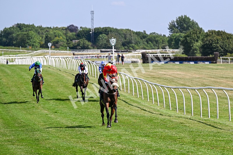 080726-Race 5-Sugarpiehoneybunch-7533 - Race 5 16.00pm Bet At racingtv.com Handicap
