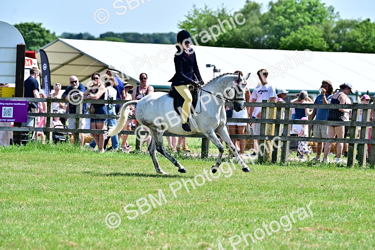 SBM_15373 - Class 95-97 - BSPS LHS Performance Ponies