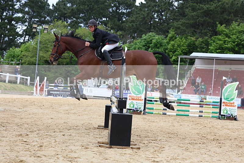 3E7A6002 - Class 4: Senior British Novice/90cm open