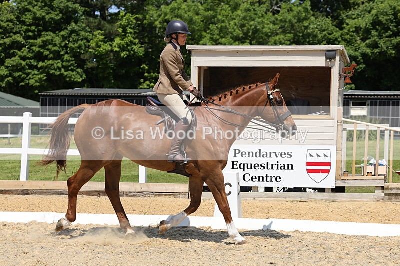 1X9A1821 - Class 12: Ridden Riding Horse/Hack