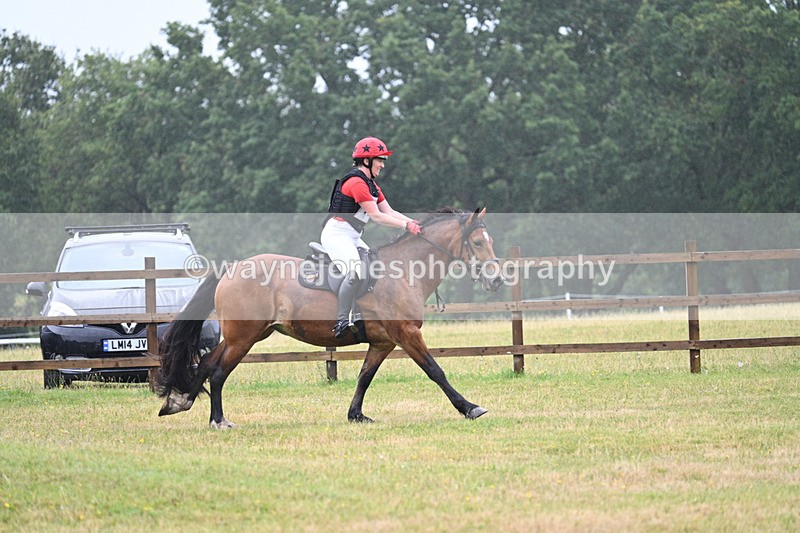 WJ7_5810 - 60cm Time 10:40 to 11:07