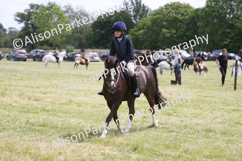 20260614-2790 - Class 22 - Open Working Hunter