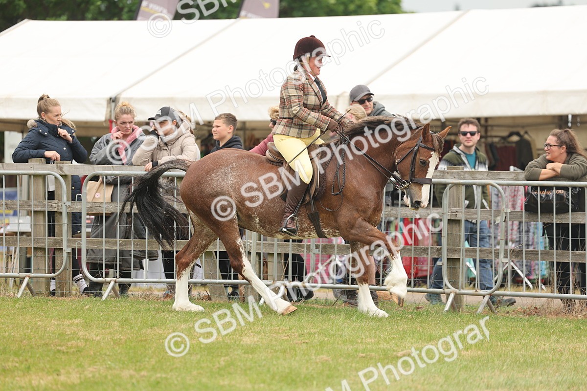 SBM_07189 - Class 76-77 - Ridden M&M Welsh Ponies