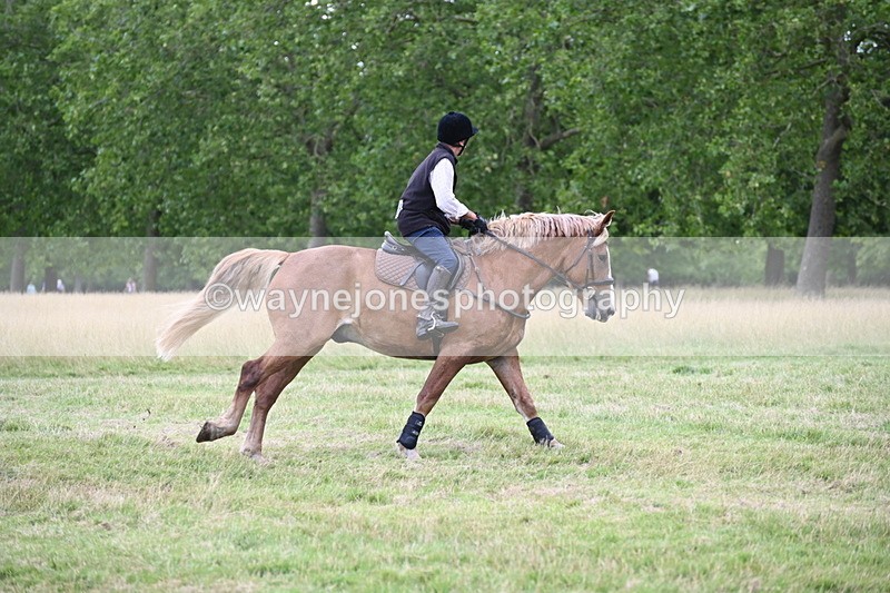 WJ6_4980 - Time at Jump 13:04 to 13:34