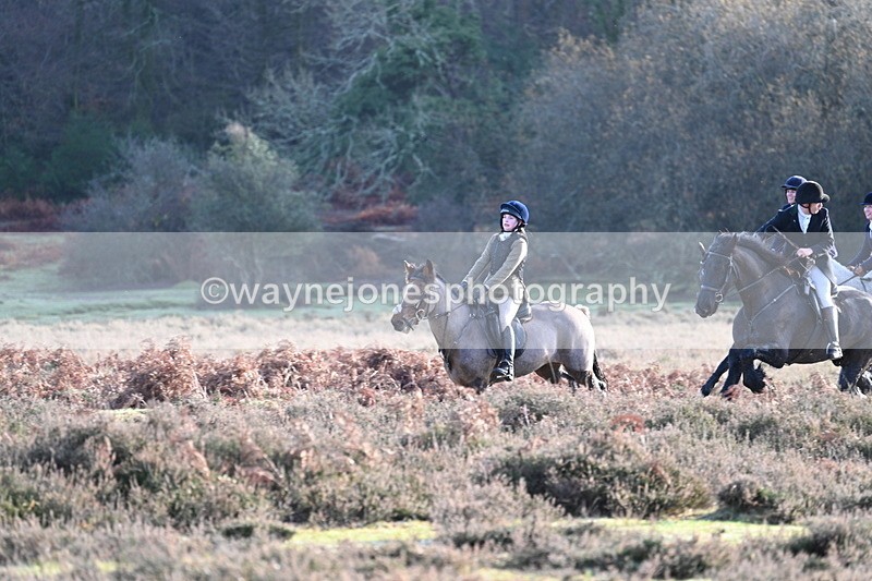 WJ7_7905 - Line 3 (no line 4 or 5)