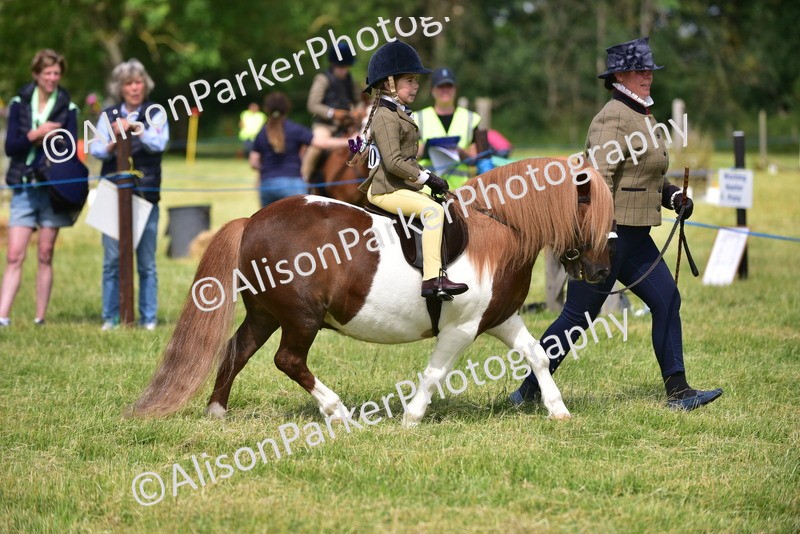 20260614-1140 - Class 11a - Lead Rein Pony (Unplaited)