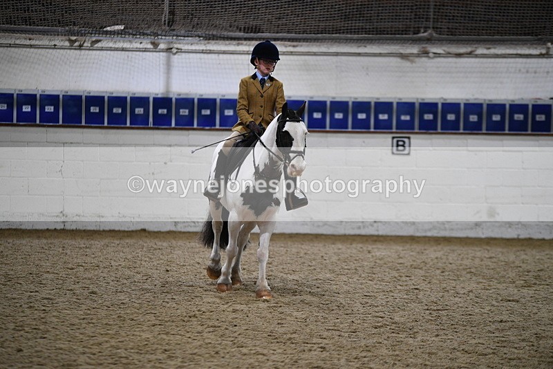 WJ5_7316 - Class 11 Ridden PC - RC Pony