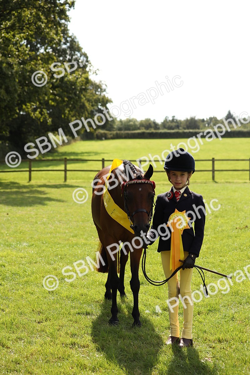 SBM_65610 - S48 - Show Pony & Show Hunter Pony In Hand