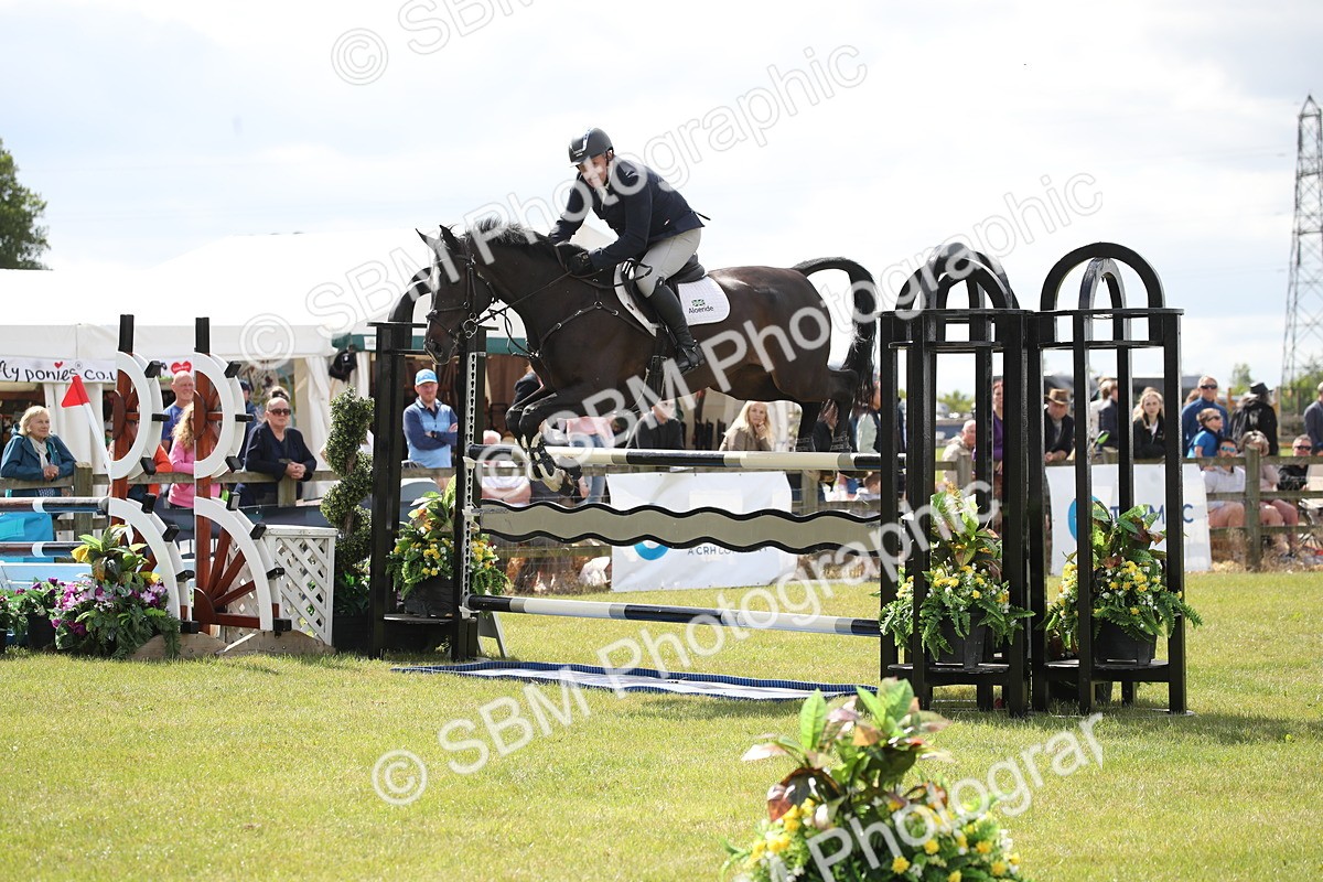 SBM_17528 - Class 208 - Senior Foxhunter 1.20m Open