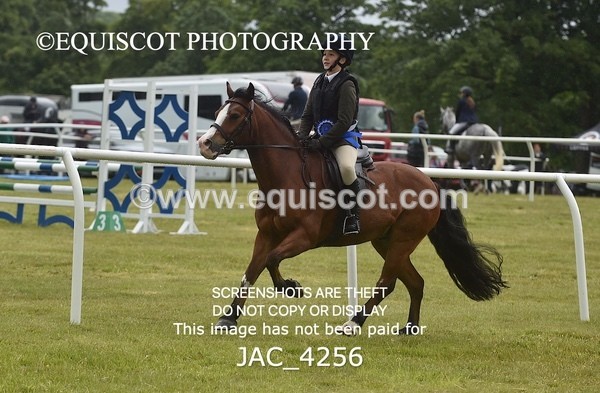 JAC_4256 - WORKING HUNTER CHAMPIONSHIP