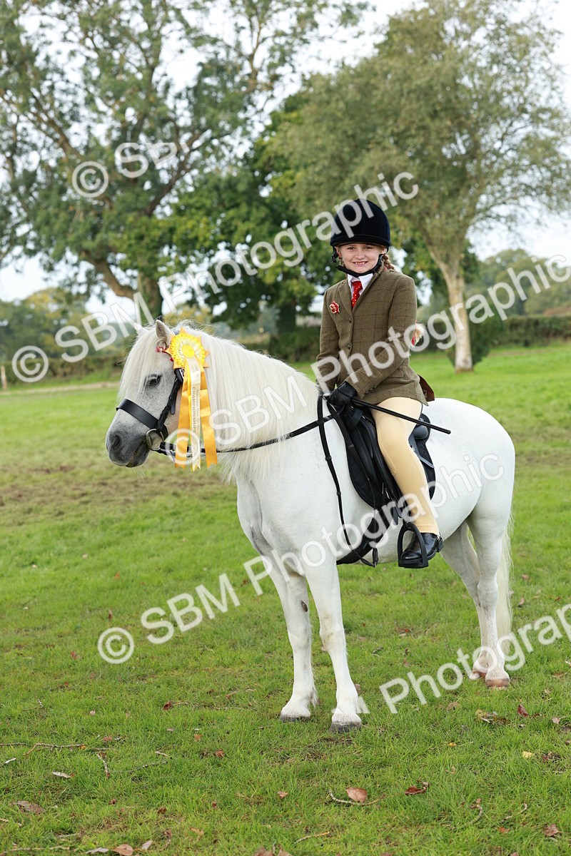 SBM_56486 - S39 - Starters In Hand Showing