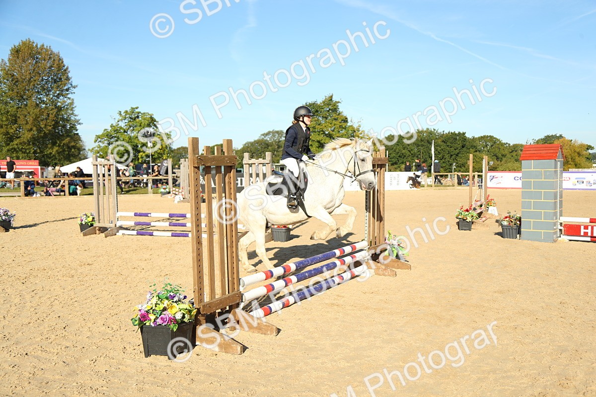SBM_35783 - J5 - Junior Pony 50cm Championship