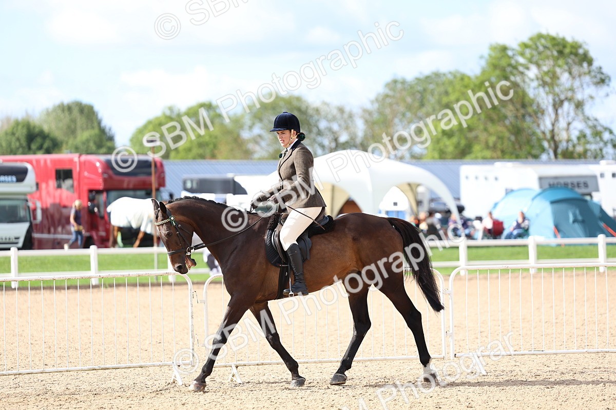 SBM_10768 - Class 305 - Ridden Foreign Breeds - Pure Bred
