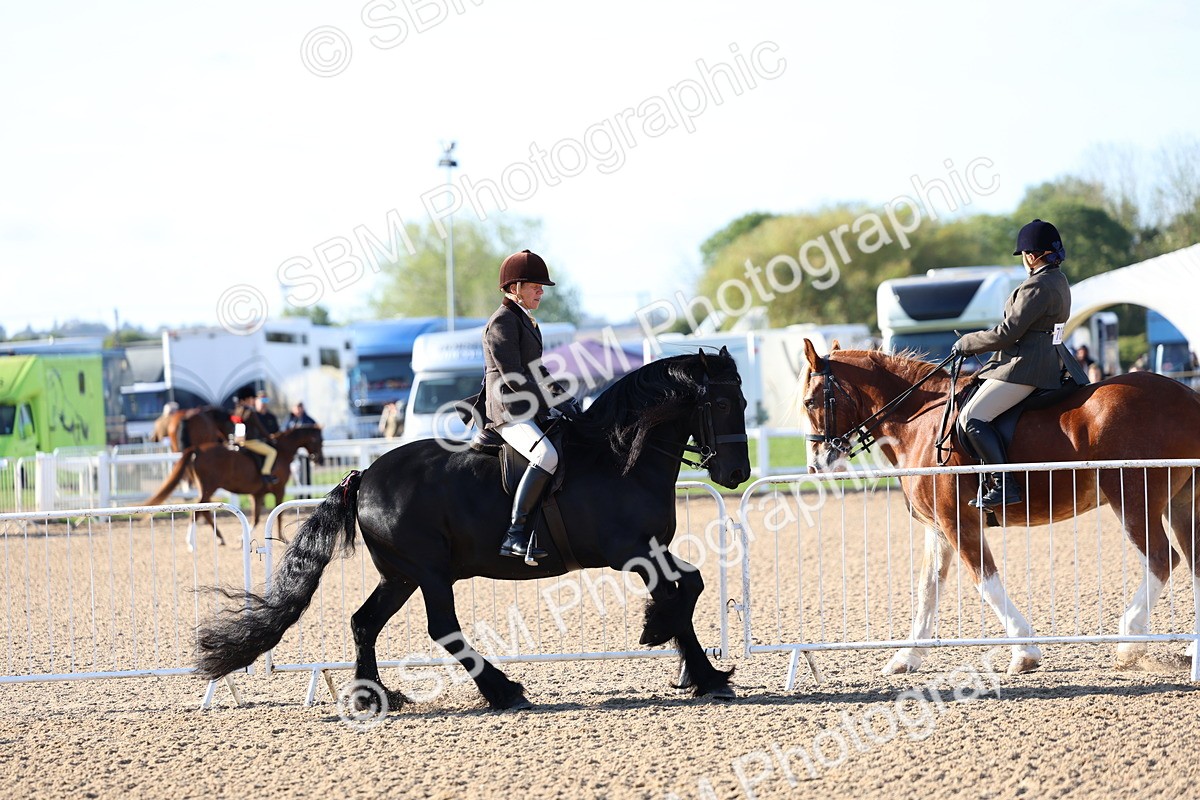SBM_08782 - Class 302 - Ridden M&M - Large Breeds