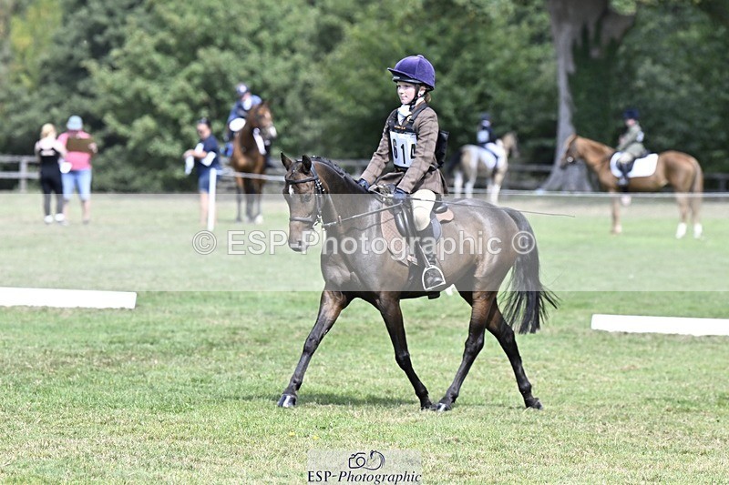 250822A-120624-22563 - DR 11.00 to 12.00